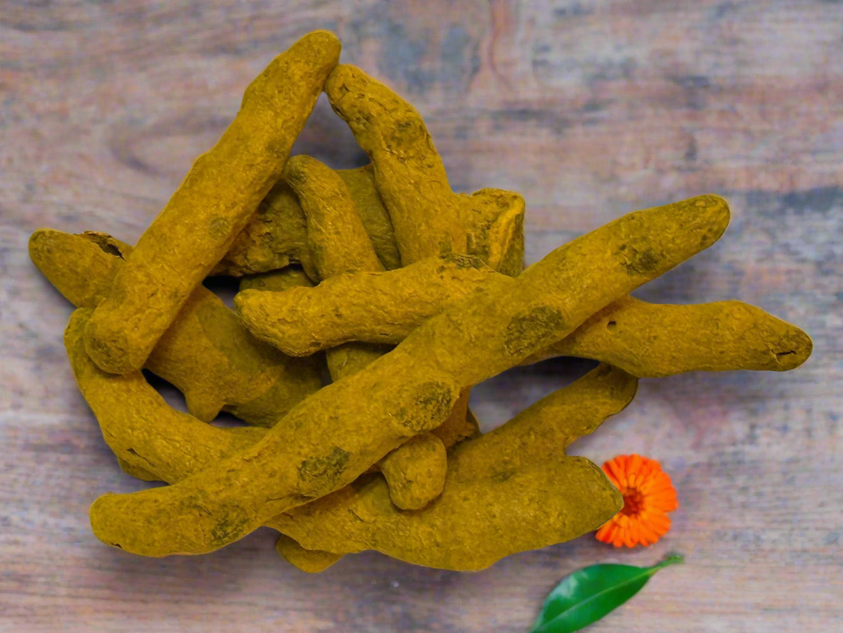 Pure Turmeric Dried Turmeric Sticks (Haldi), 11 pieces