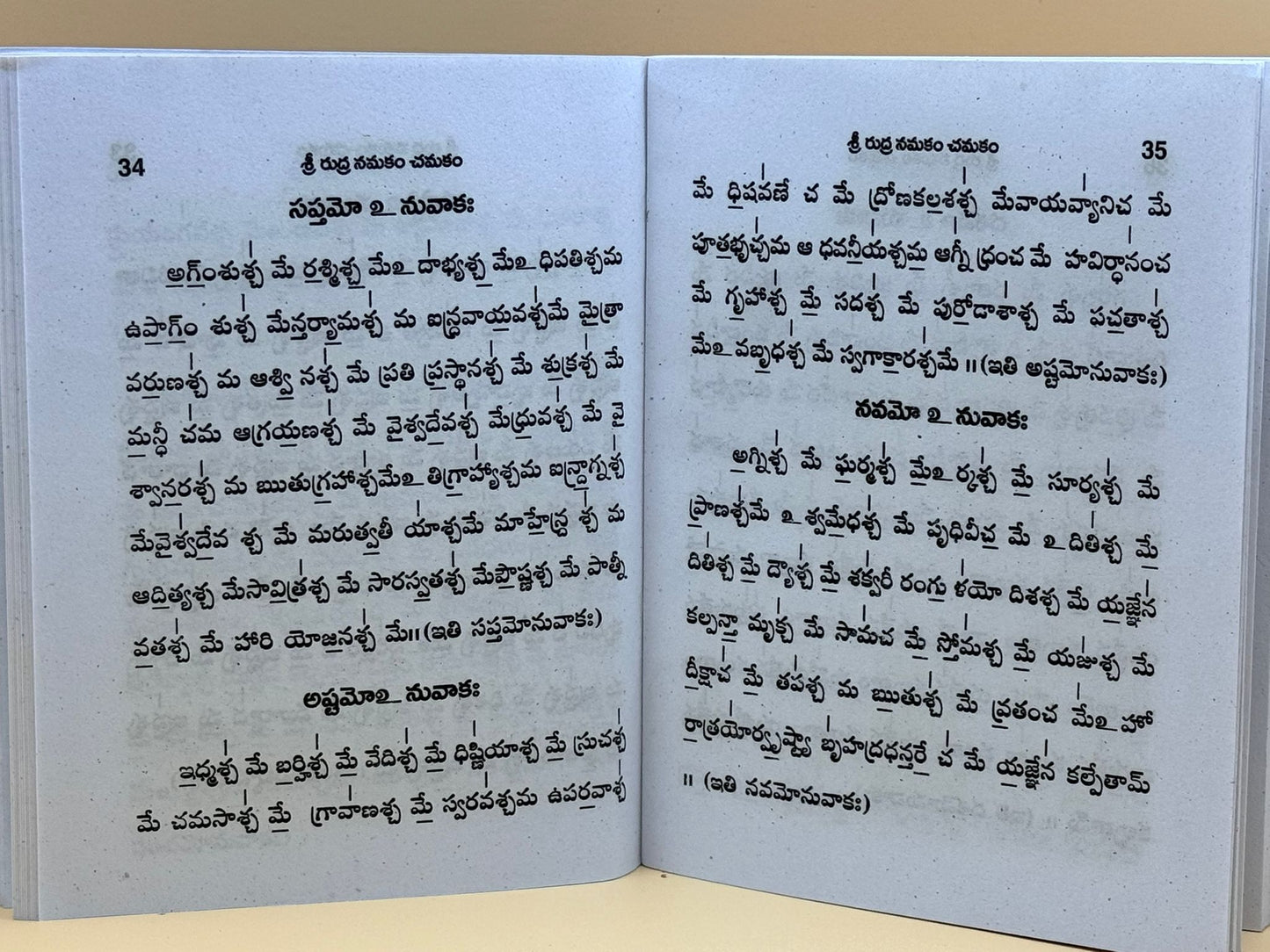 Shree rudra namakam chamakam