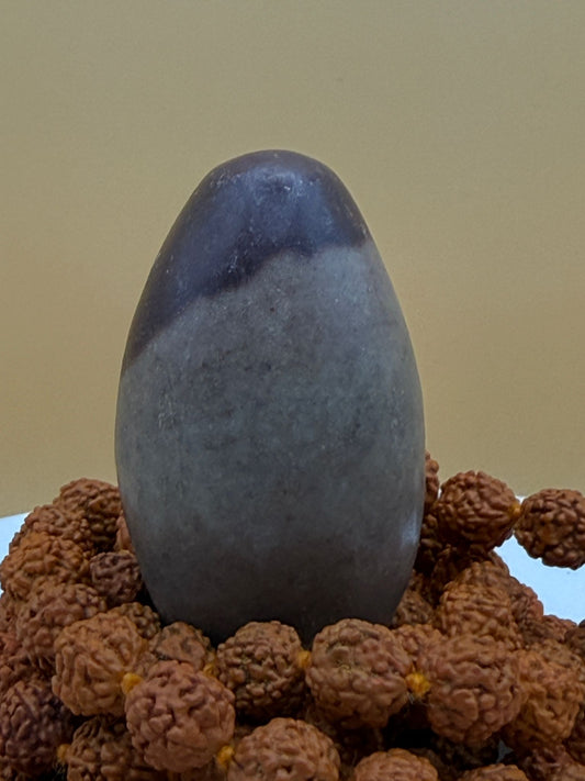 Narmada river bana ling