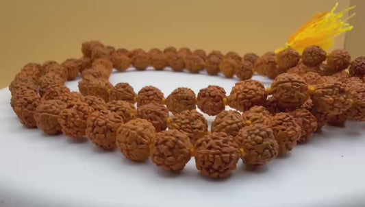 Rudraksha Maala