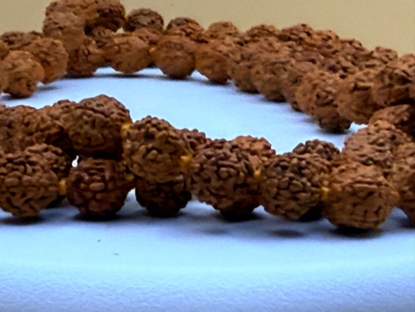 Rudraksha Maala