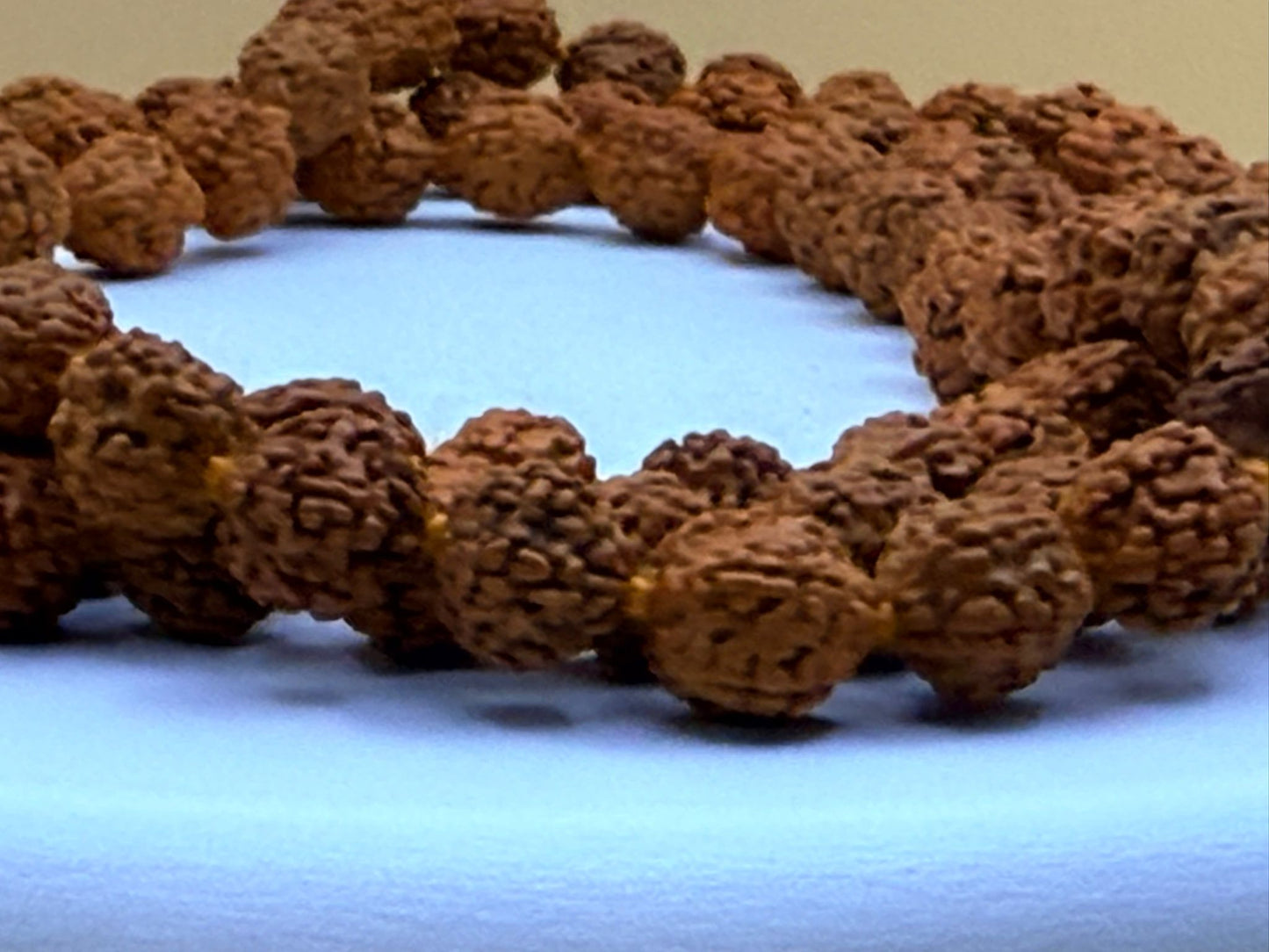 Rudraksha Maala